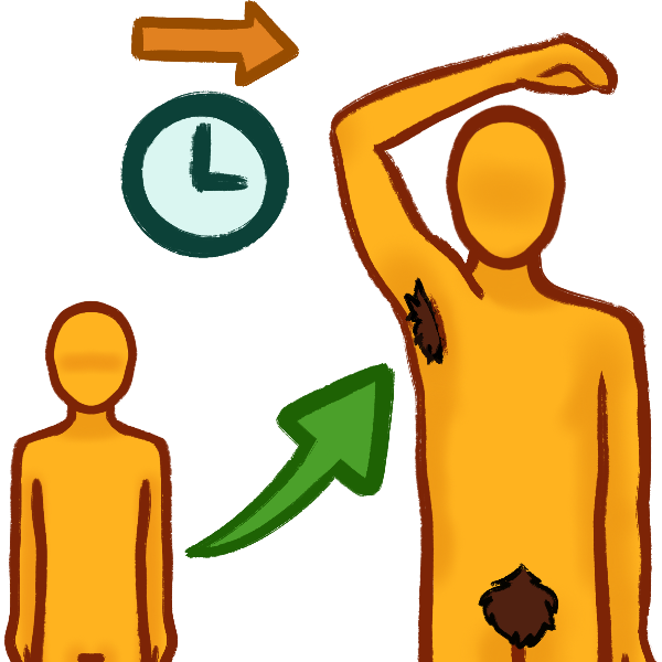 a small featureless person with a green arrow pointing from them up to an adult person lifting one arm above their head, the adult has brown axillary and pubic hair. Above them both is a clock with an orange arrow above it pointing to the right to convey lateness.